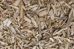 biomass boilers Hill Wood